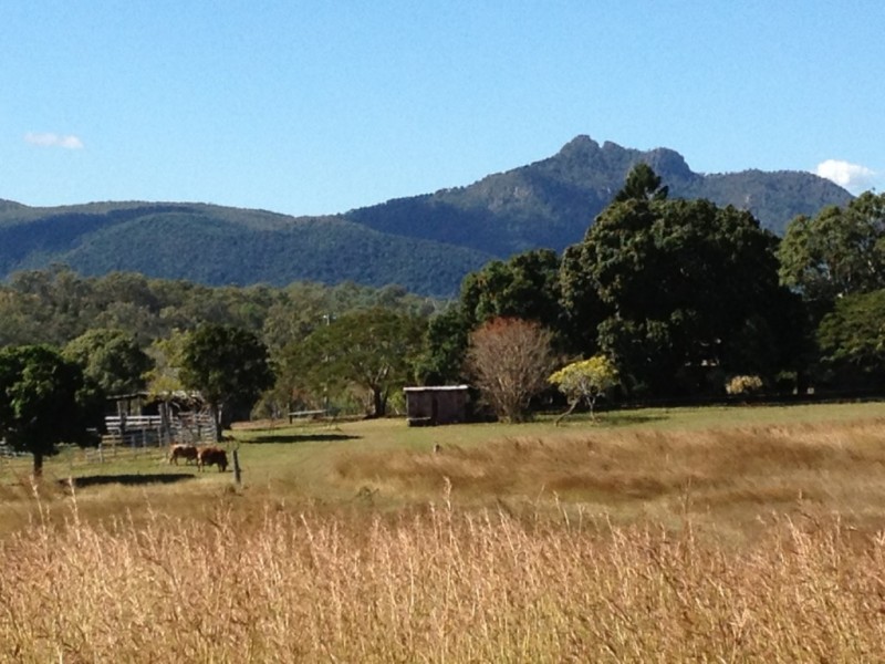 415 The Narrows Road, Mount Larcom QLD 4695