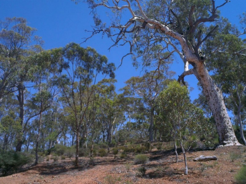 325 Coondle West Road, Coondle WA 6566