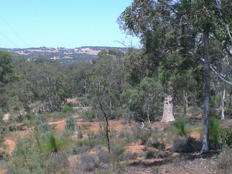 325 Coondle West Road, Coondle WA 6566