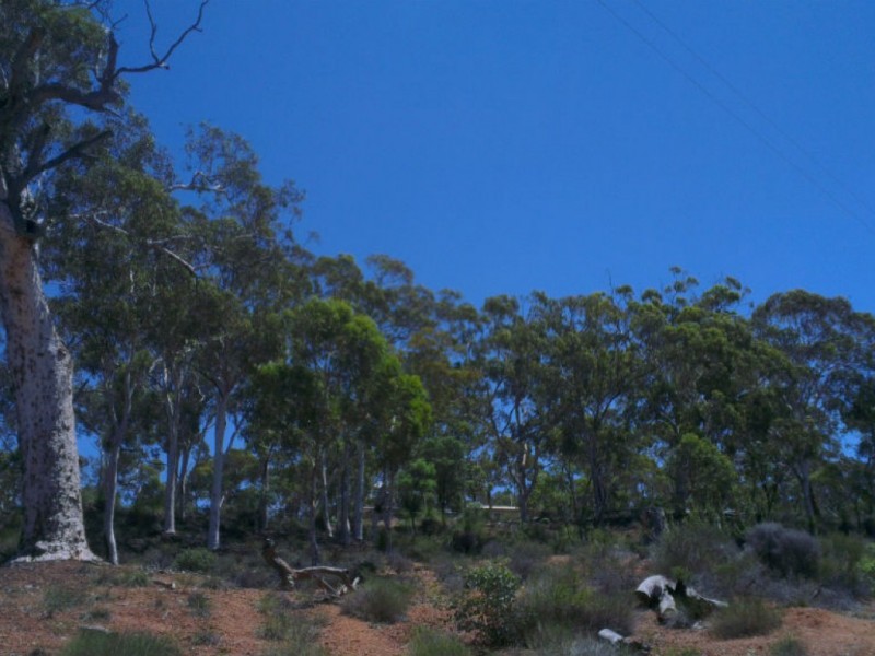 325 Coondle West Road, Coondle WA 6566