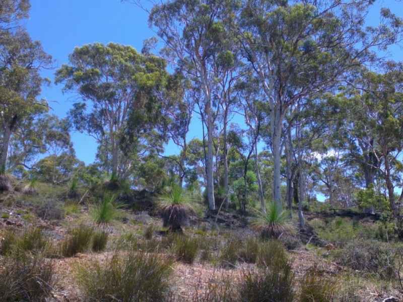 325 Coondle West Road, Coondle WA 6566