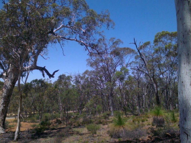 325 Coondle West Road, Coondle WA 6566