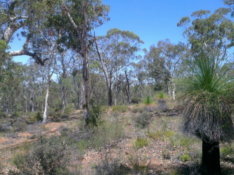 325 Coondle West Road, Coondle WA 6566