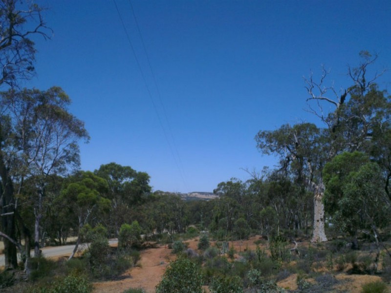 325 Coondle West Road, Coondle WA 6566