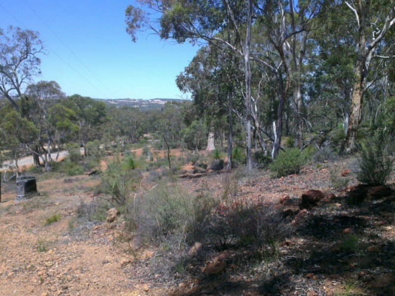 325 Coondle West Road, Coondle WA 6566