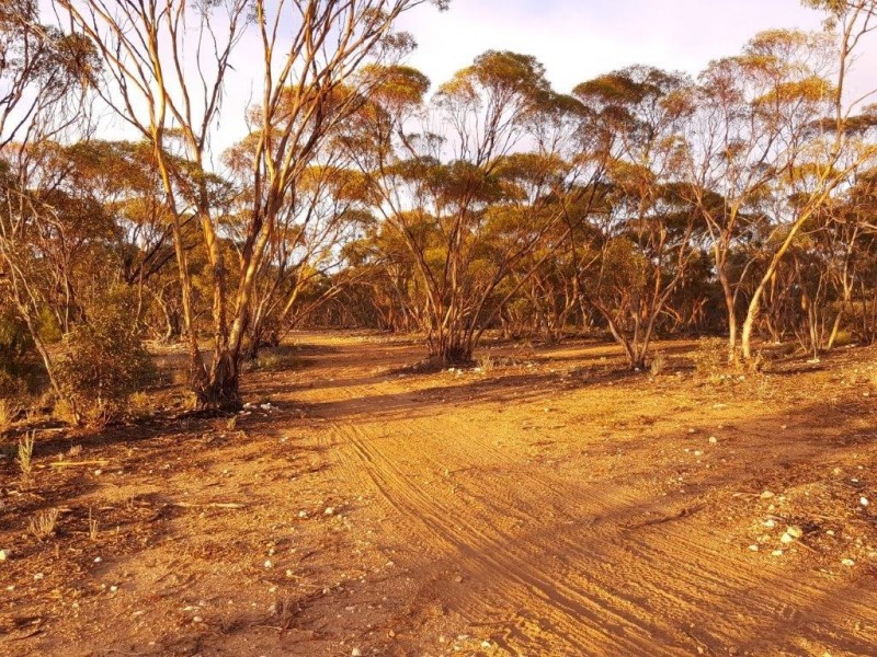 5 Tumbella Road, Sedan SA 5353