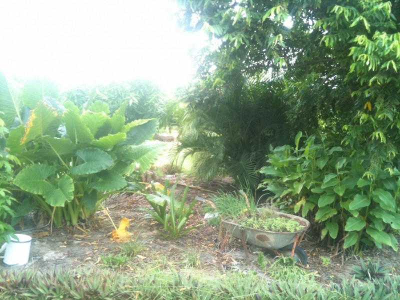 1 Bowen Street, Burketown QLD 4830