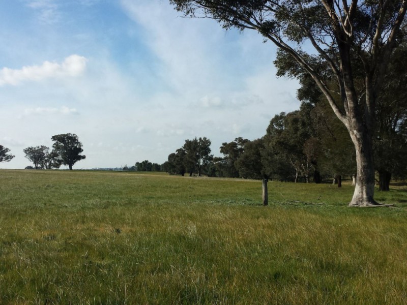 751 Mia Mia-Derrinal Road, Derrinal VIC 3523