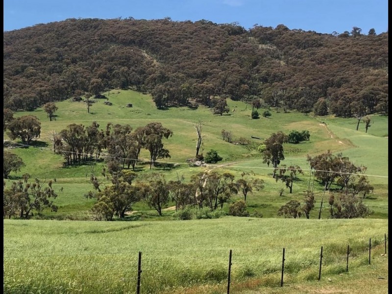 490 Courabyra Road, Courabyra NSW 2653