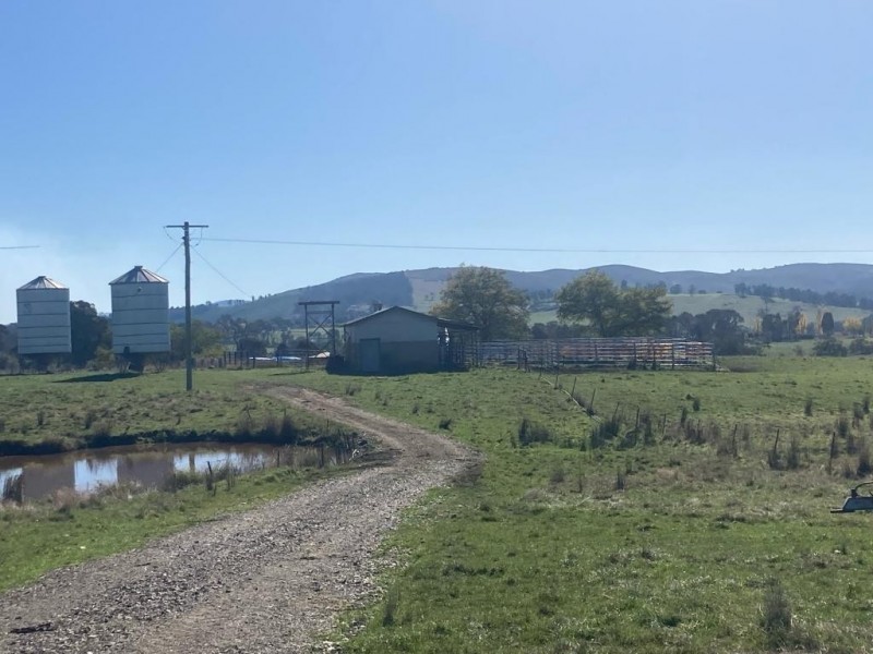 490 Courabyra Road, Courabyra NSW 2653