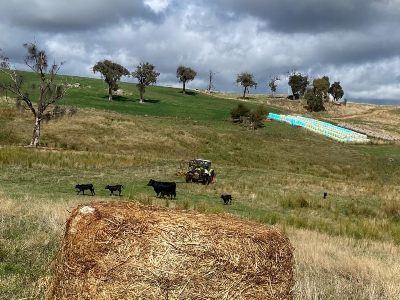 490 Courabyra Road, Courabyra NSW 2653