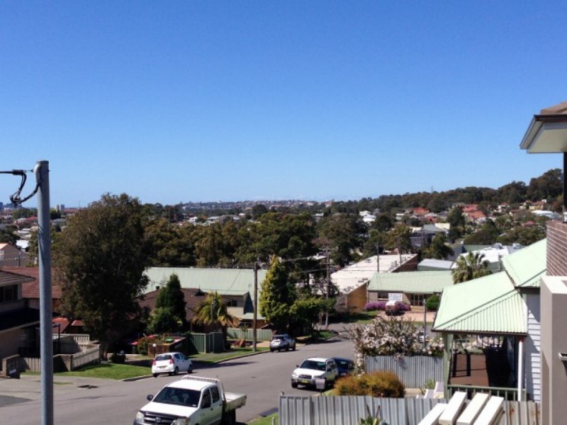 15 Brown Street, Adamstown NSW 2289