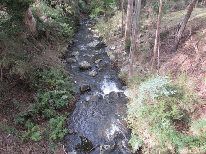 Lot 1 Mitchells Road, Crabtree TAS 7109