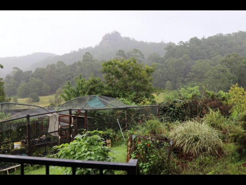367 Koppin Yarratt Road, Upper Lansdowne NSW 2430