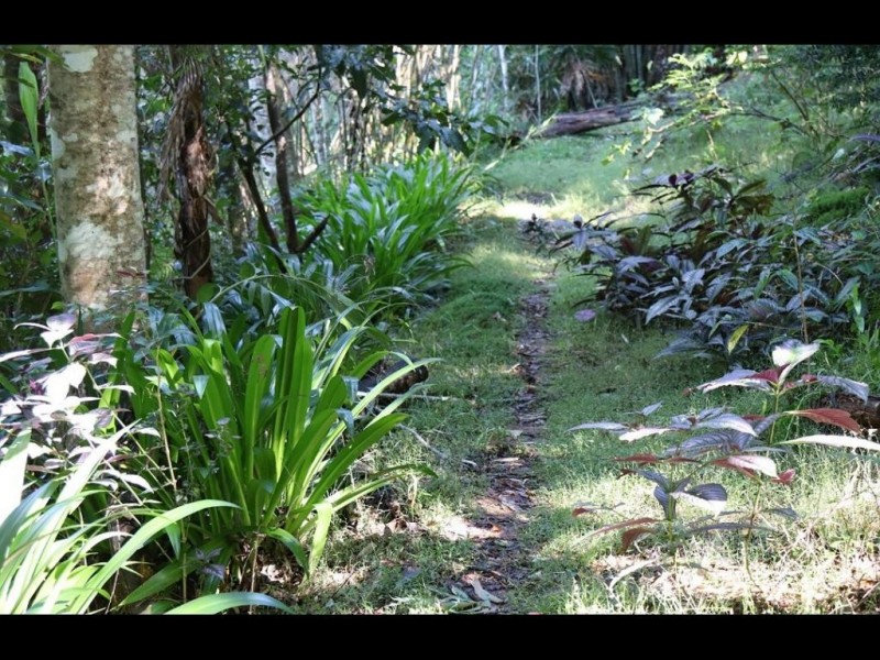 367 Koppin Yarratt Road, Upper Lansdowne NSW 2430