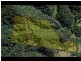 367 Koppin Yarratt Road, Upper Lansdowne NSW 2430