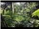 367 Koppin Yarratt Road, Upper Lansdowne NSW 2430