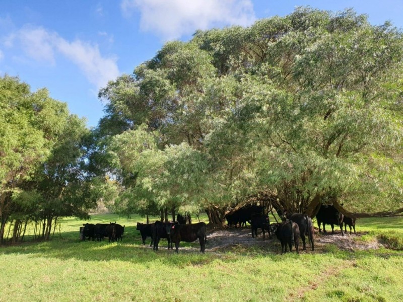 708 Kordabup Road, Denmark WA 6333