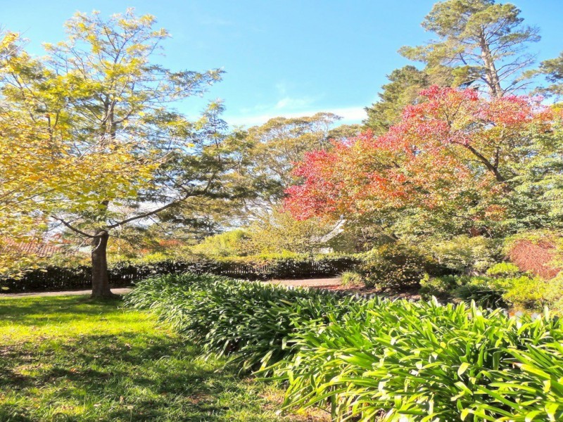 33 Murphy’s Lane, Wentworth Falls NSW 2782