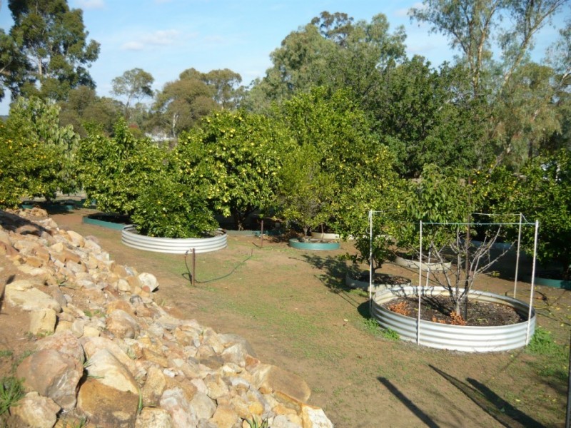 105 Tilden Dr, Gidgegannup WA 6083