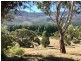 84 Molesworth Road, Malbina TAS 7140