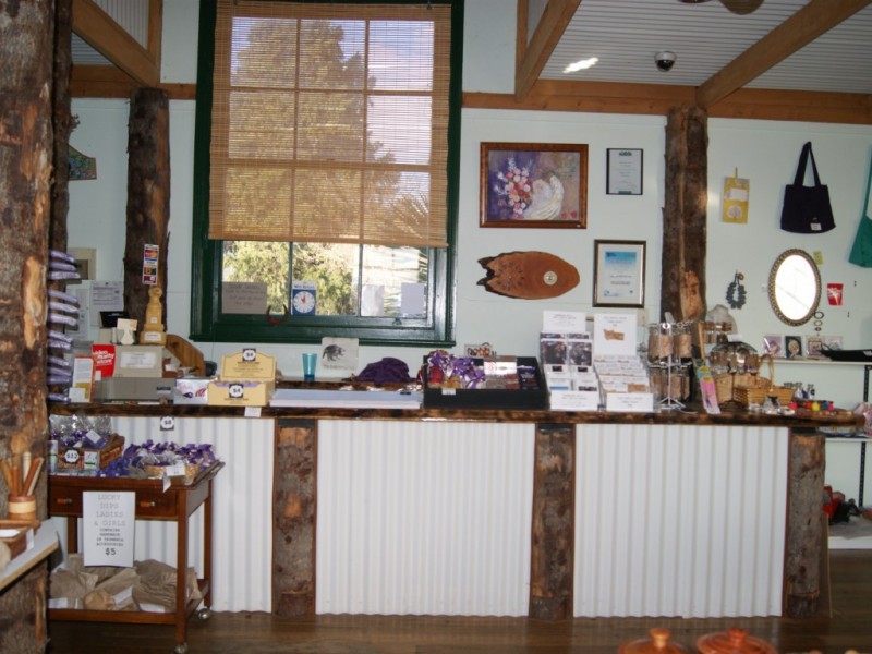 52 Church Street, Ross TAS 7209