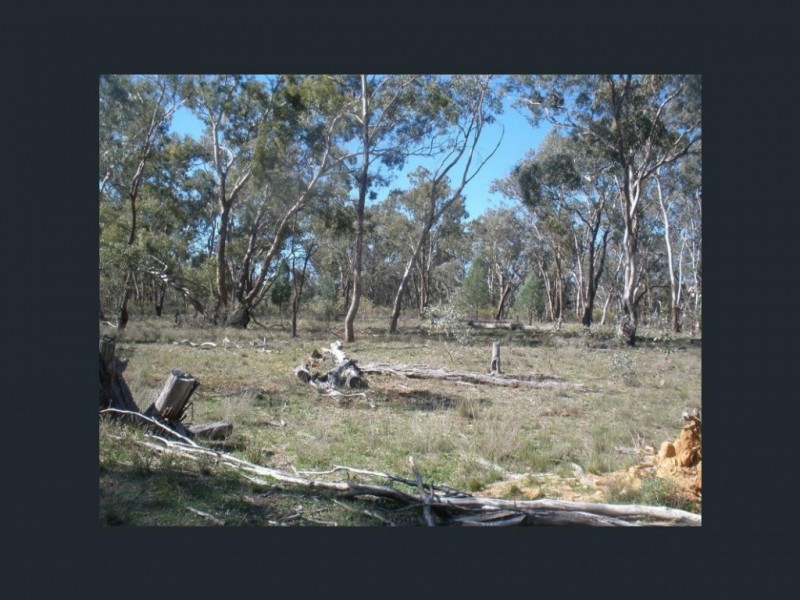 5442 Warrumbungles Way, Binnaway NSW 2395