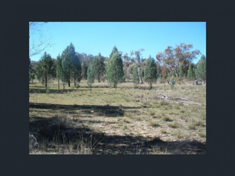 5442 Warrumbungles Way, Binnaway NSW 2395