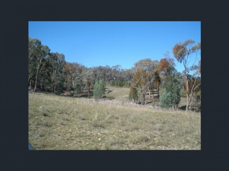 5442 Warrumbungles Way, Binnaway NSW 2395