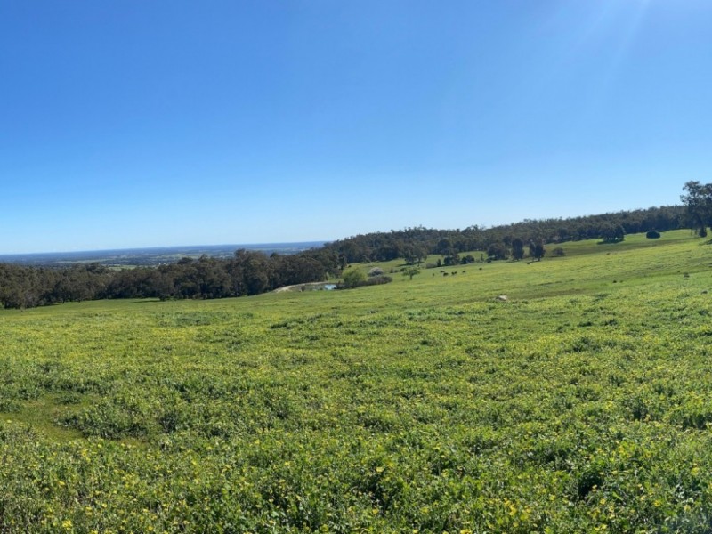 North Dandalup WA 6207