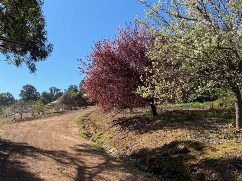 North Dandalup WA 6207