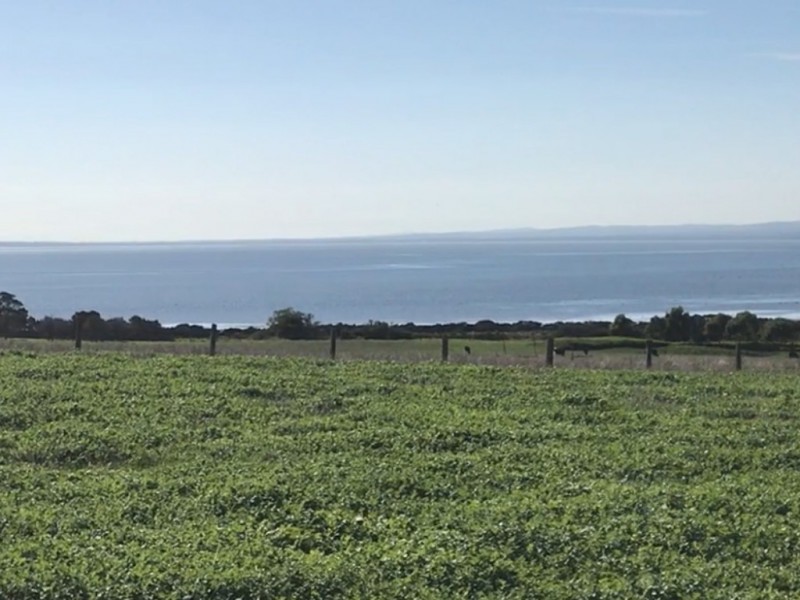 10a Brick Kiln Road, Corinella VIC 3984