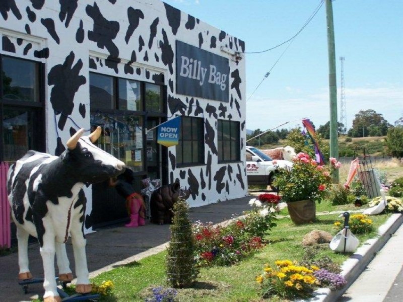 24 Falmouth Street, Avoca TAS 7213