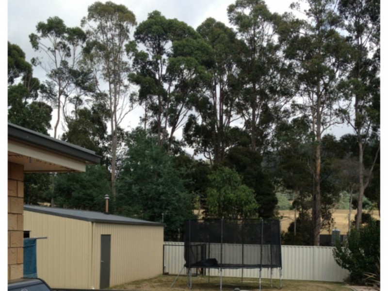 28 Gibson Court, Spreyton TAS 7310