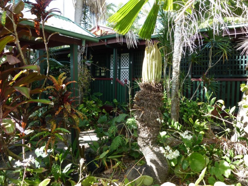 11 Perry Street, West Mackay QLD 4740
