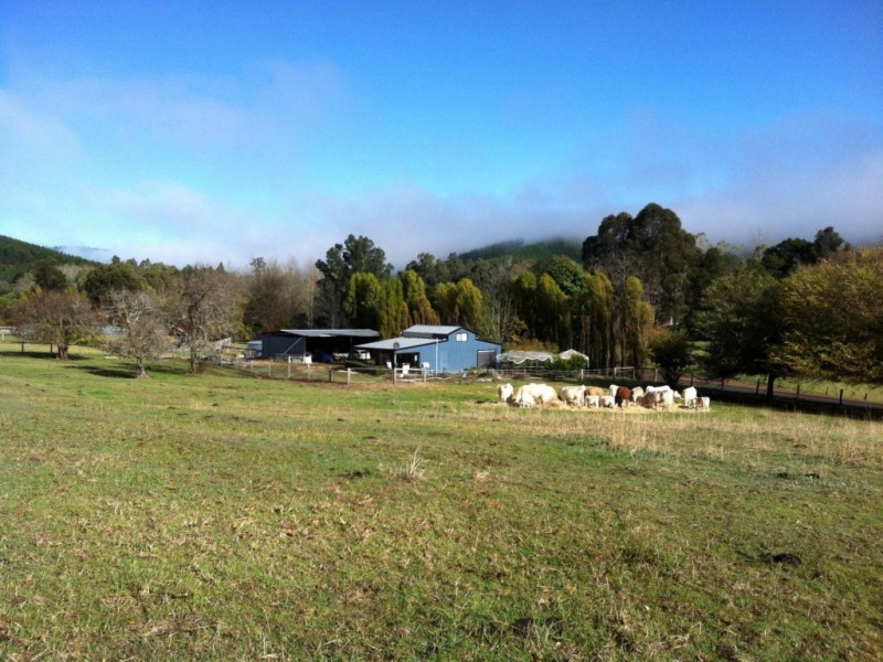 1077 Balingup-Nannup Road, Southampton WA 6253