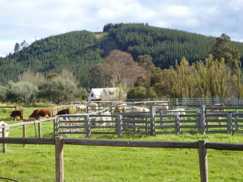 1077 Balingup-Nannup Road, Southampton WA 6253