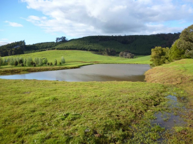 1077 Balingup-Nannup Road, Southampton WA 6253