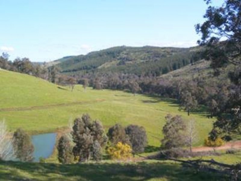 1077 Balingup-Nannup Road, Southampton WA 6253