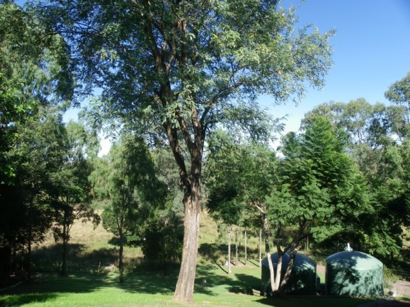 64 Bellambi Street, Toogoolawah QLD 4313