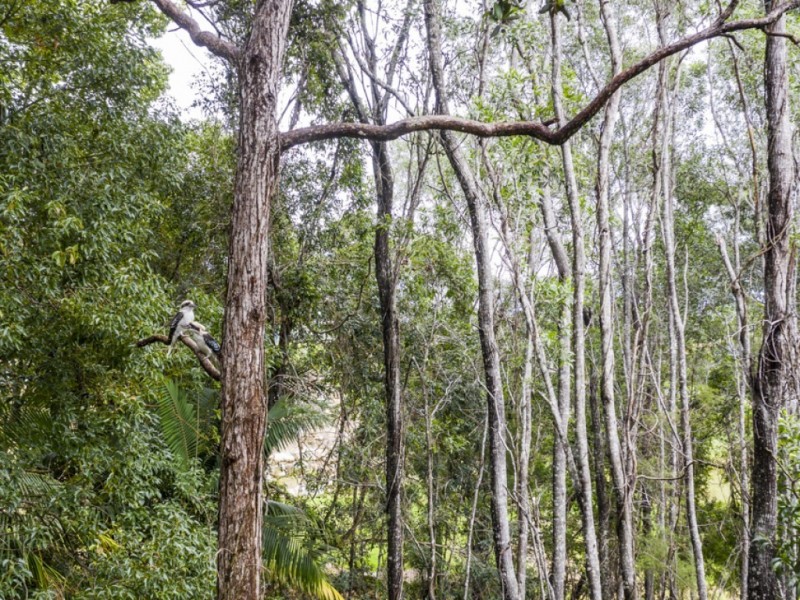 1D Sunart Street, Maclean NSW 2463