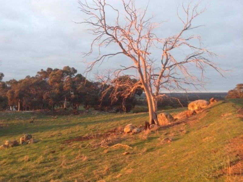 192 Talbot Hall Road, Talbot WA 6302