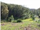 Mount View NSW 2325