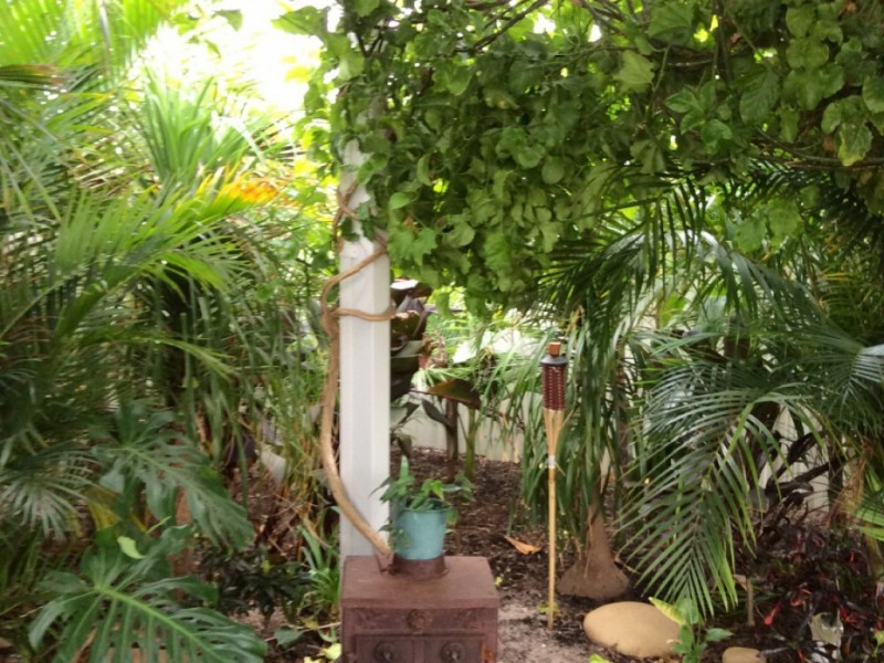 73 The Promenade, Wattle Grove WA 6107