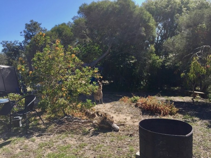 34 Seventh Ave, Paradise Beach VIC 3851