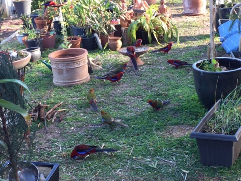 34 Seventh Ave, Paradise Beach VIC 3851