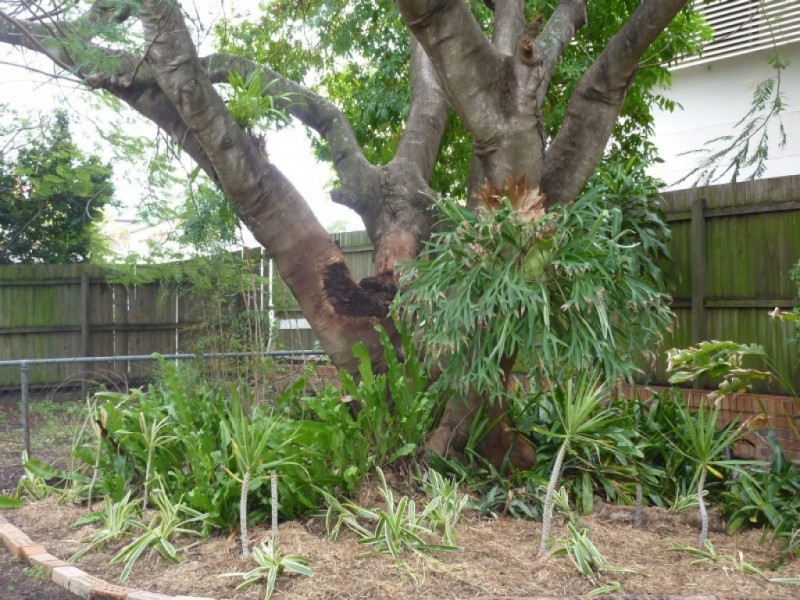 8 Ellis Street, Greenslopes QLD 4120