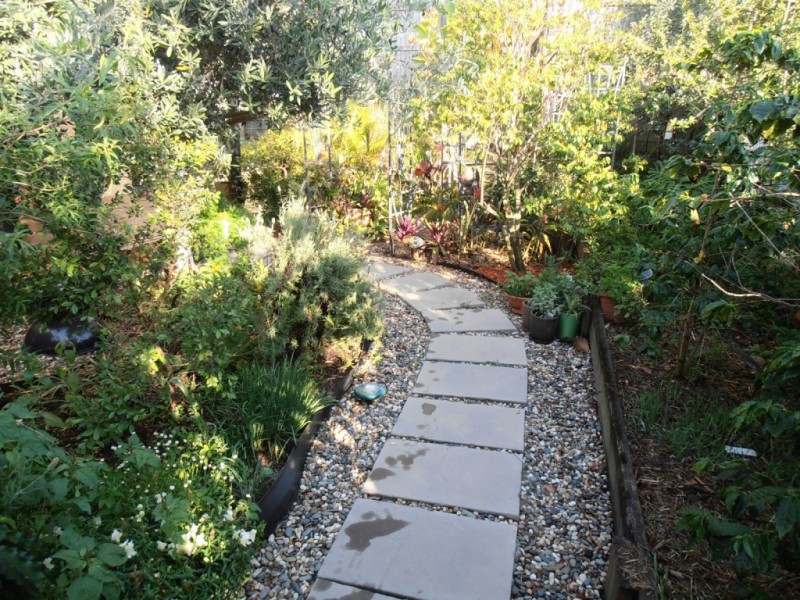 5 Banjo Place, Springfield QLD 4300