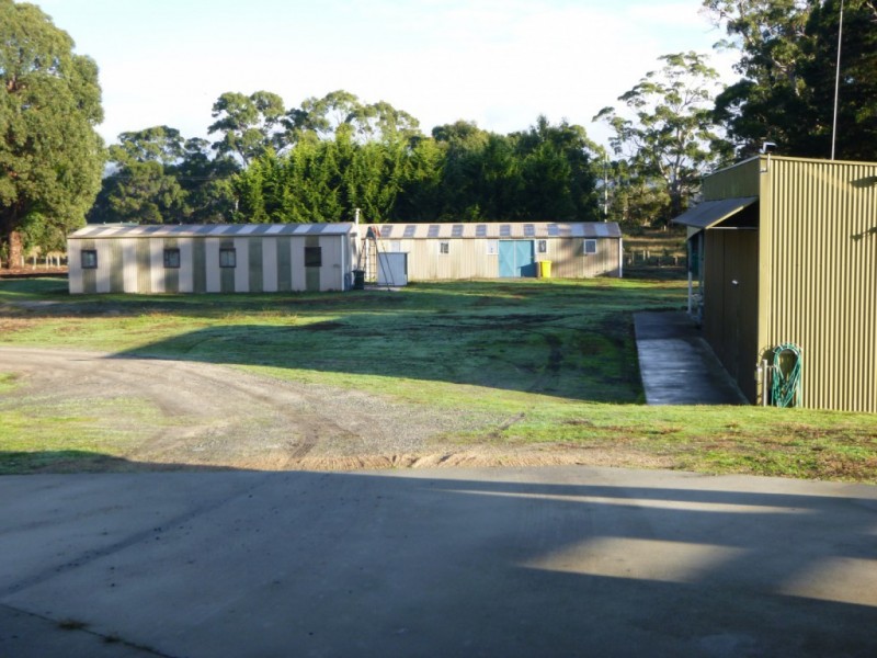 130 Medea Cove Road, St Helens TAS 7216