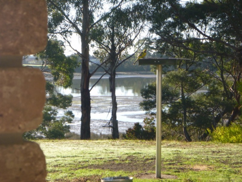 130 Medea Cove Road, St Helens TAS 7216